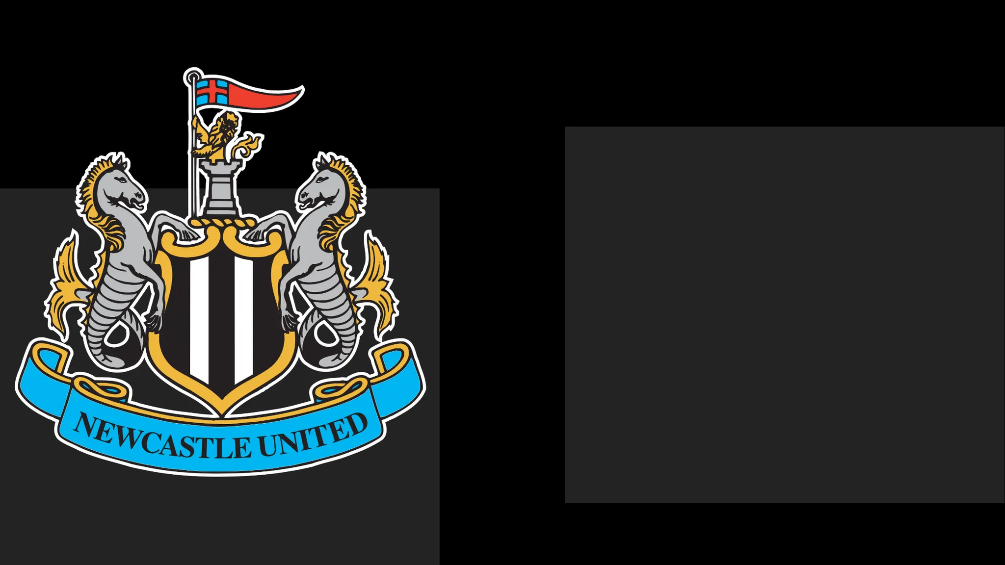 Newcastle's boss Hails Team's Spirit – Yet That Only Carries Them To a Point