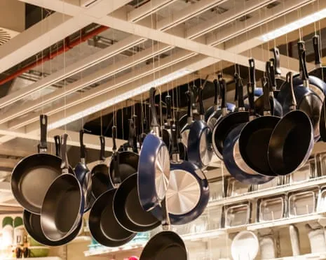 Non-Stick Eating, Garlic Milk and Striped Cattle Triumph at 2025 Alternative Science Prizes